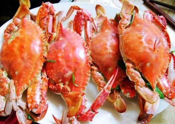 秦皇岛沙雕海洋公园门票,秦皇岛沙雕海洋乐园