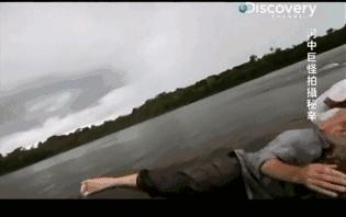 小到钻丁丁，大到吞活人，这片贝爷看了都瑟瑟发抖！