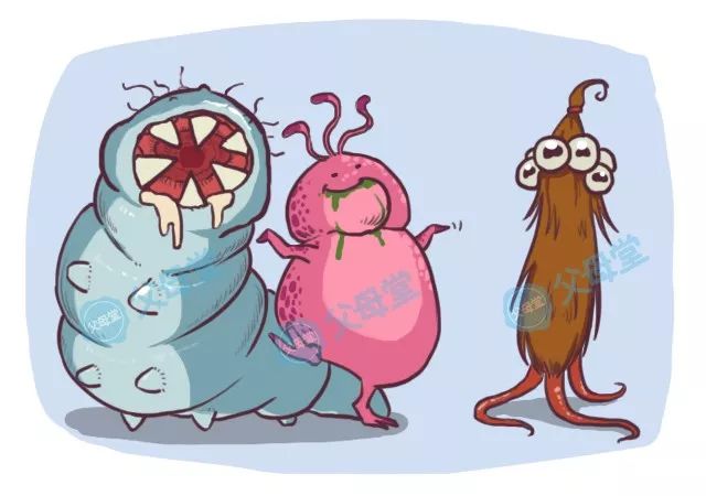 宝宝感染寄生虫有什么症状,宝宝有寄生虫是不是宠物感染的