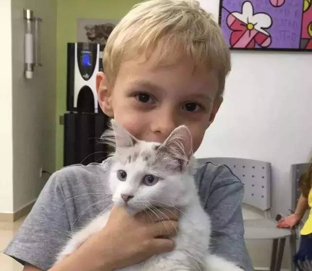 3-6岁萌娃运动,萌娃运动动感视频