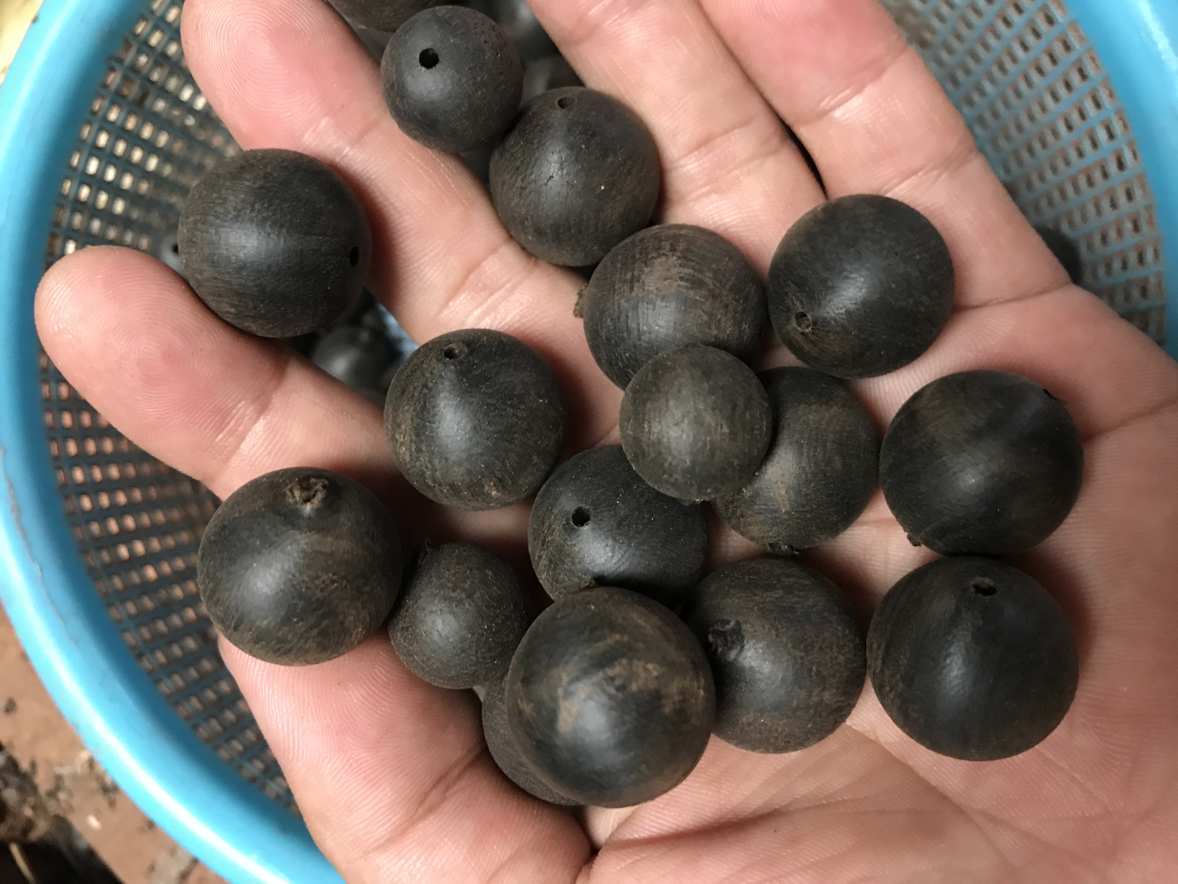 乌木佛珠手串怎么盘,手工金丝楠木佛珠手串图