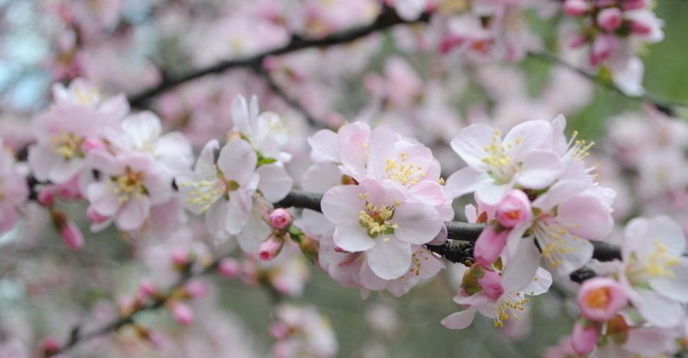 「诗词原创」褚乃艳｜莫道君心无所住红尘洗却看沉浮