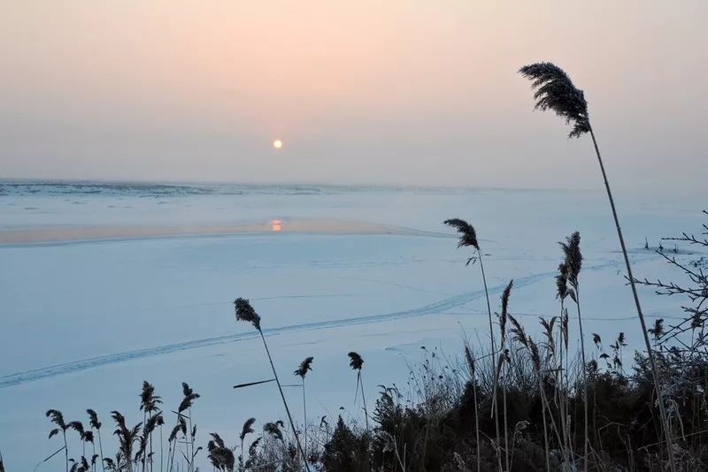 「诗词原创」褚乃艳｜莫道君心无所住红尘洗却看沉浮