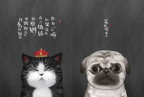 你的可甜可盐系男友GULUO已上线!