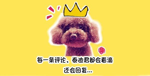 巨蟒进食巨猫,巨型蟒蛇与猫