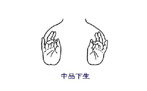 阿弥陀佛手印符号,阿弥陀佛手印用灌顶吗