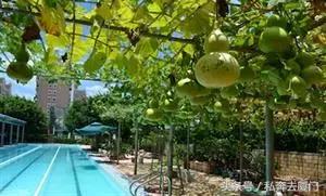 厦门湖里哪个游泳池比较干净,厦门哪个游泳池比较干净