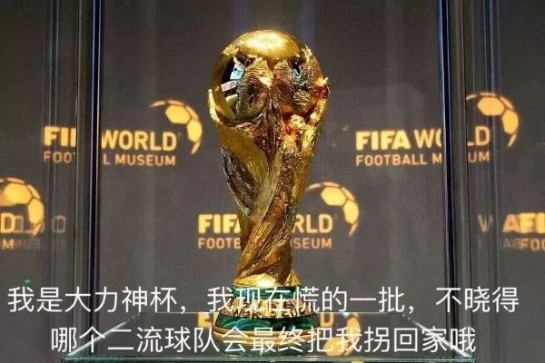 世界杯快乐足球比分,世界杯欢乐盛宴