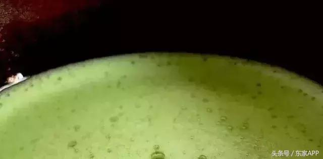 宋人喝茶花样多,居然还会拉花?看完觉得现在咖啡拉花真不算什么