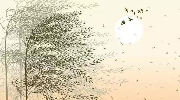 长知识的半句话,长知识分享100句