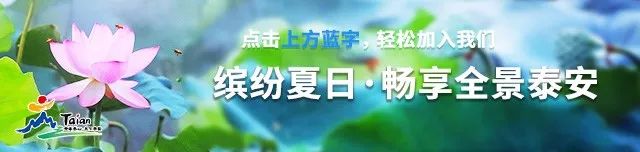 讲好山东故事讲座,讲好山东故事100字