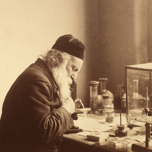 麻风病:被误会最深的传染病!治疗特效药原来竟是治疗肺结核的!