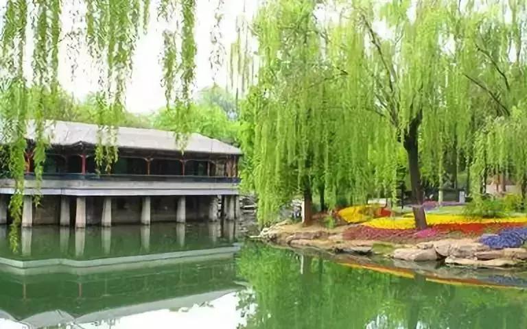 济南居然藏着那么多“第一”，老师儿你发现没