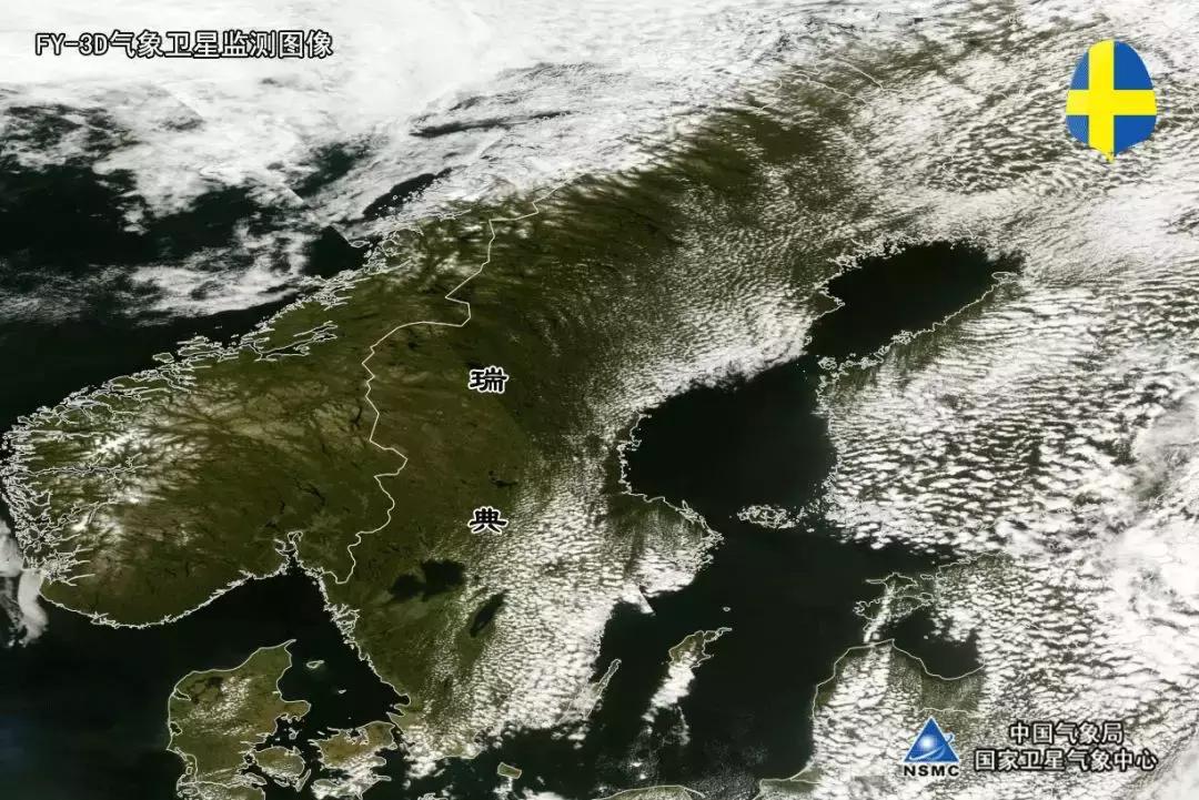 世界杯八强赛最新战况表,世界杯八强赛最新战况分析