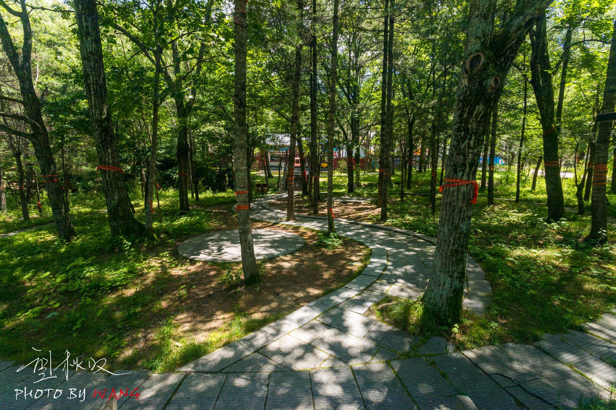 自带空调的白云山,人在画中游,水在空中舞