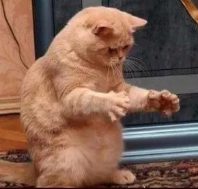 告诉你内蒙古不包邮的原因,内蒙古为什么不包邮呢