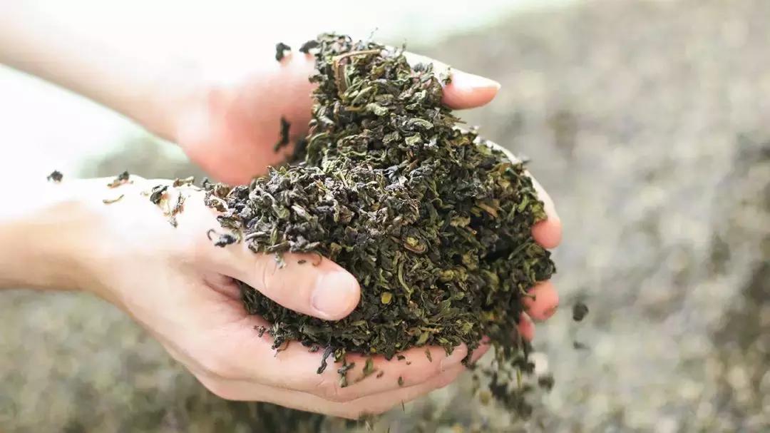 月销超10w杯的糯香之旅,中国各地的网红茶