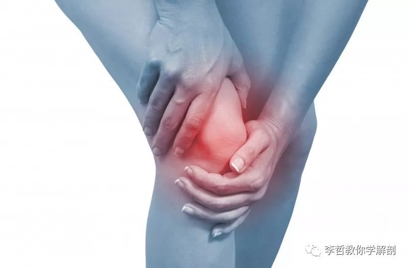 膝前痛的恢复方法,膝痛的诊断与治疗