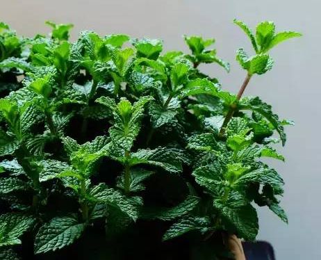 这样的书房设计你们喜欢吗,这样的书房设计你喜欢吗