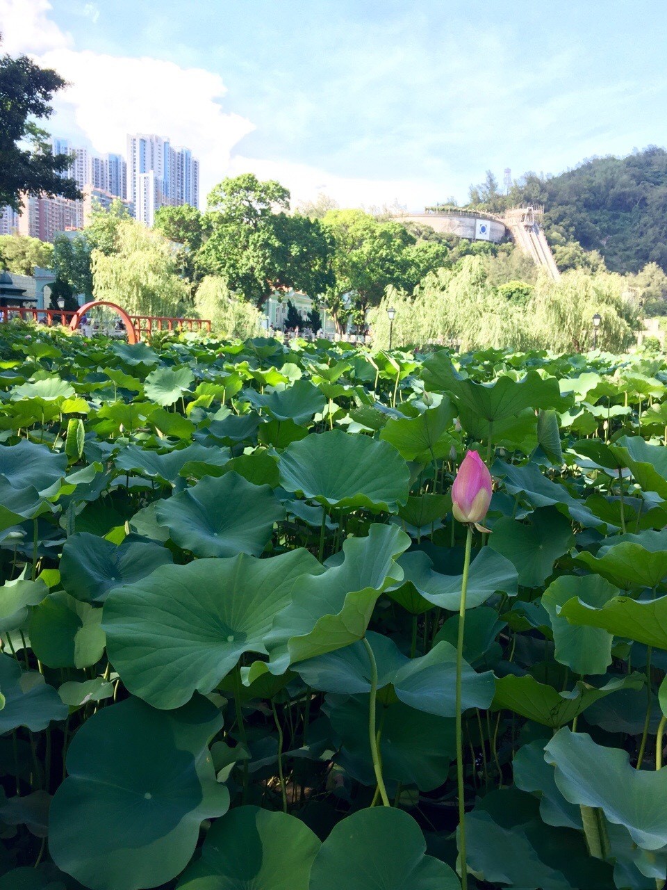 一个被人忽略的旅游城市,一个被低估的城市