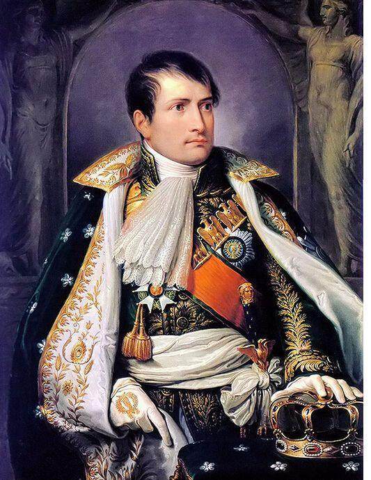 拿破仑十大绝密真相,拿破仑成功的秘诀