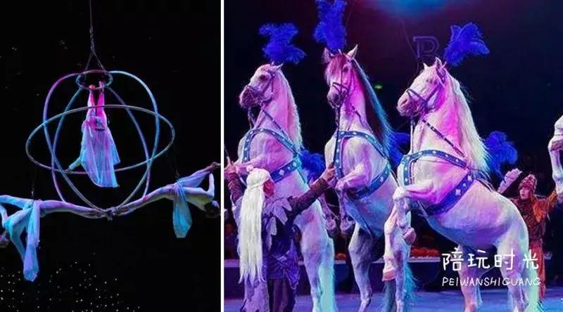 带娃游长隆最佳路线,带娃去哪个长隆玩