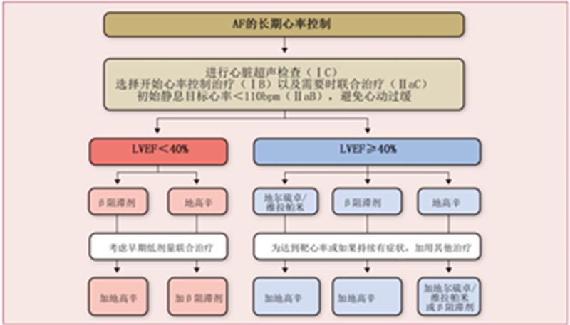 房颤静息心率的控制目标,房颤常用控制心室率药物