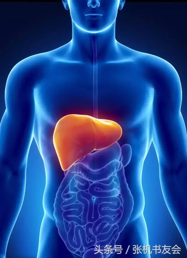 中医养生知识五脏,中医五行与五脏的关系徐文兵