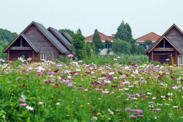 魔都这两个低调的区后来居上，将被全世界瞩目！