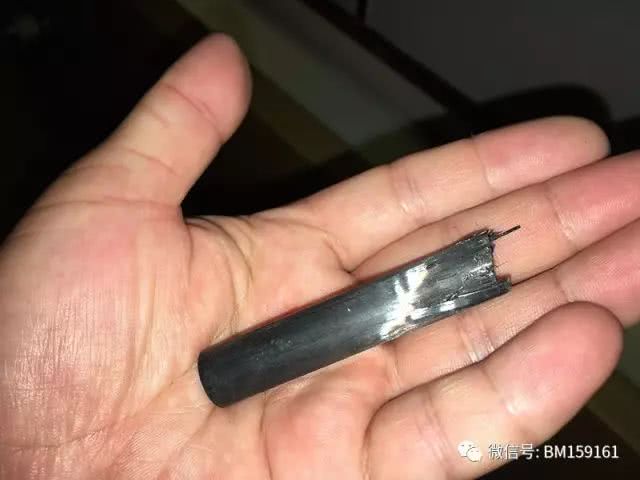 北大荒雷强打猎,北大荒雷强打黑