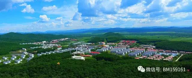 北大荒雷强打猎,北大荒雷强打黑