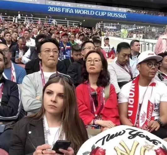 娱乐圈世界杯,明星爱世界杯