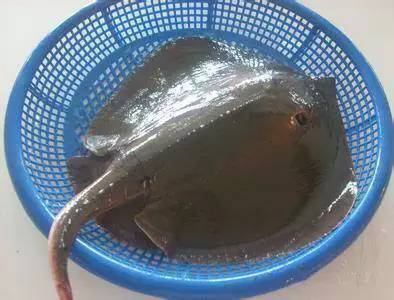 日照有什么好玩的地方,日照金山