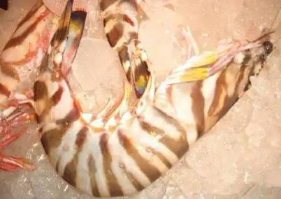 日照有什么好玩的地方,日照金山