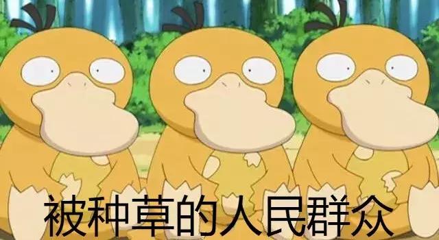 种草号如何养号,种草号刚开始怎么做