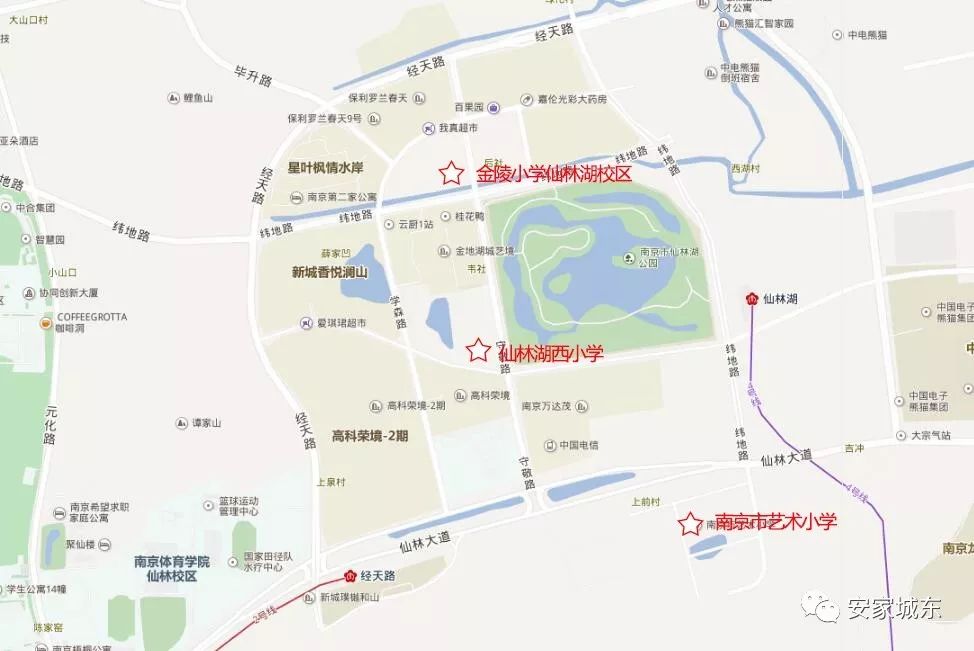 爆发！黑马中学出炉，全新小学投用，仙林迎来教育新格局