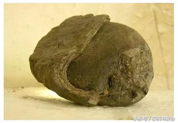 中药药材浪漫的名字,蕴含极致浪漫的中药名字