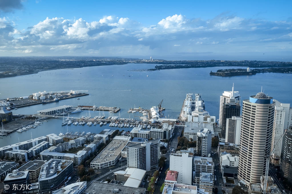 新西兰中国进口奶,新西兰乳制品出口