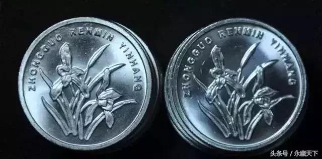 最值得收藏的5朵金花,哪种五朵金花最值得收藏