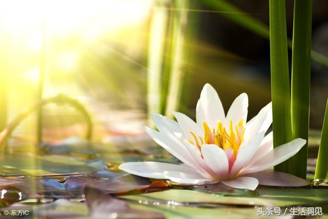 人到中年才明白什么人值得交往,适合中年人的相处境界