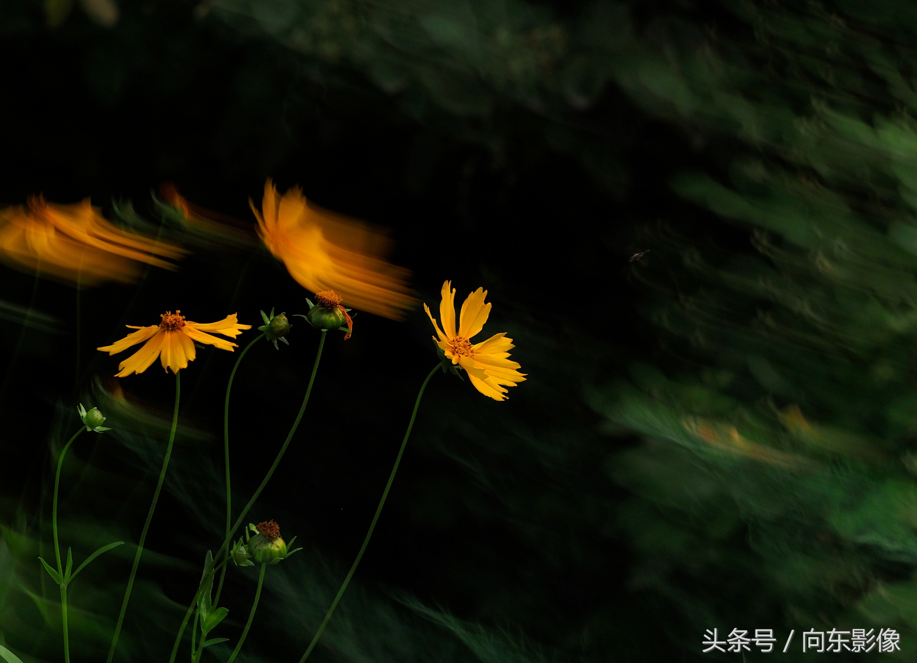 拍照时景深和光圈大小,相机光圈与景深的关系