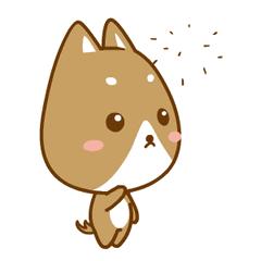 迪奥香水值得购买吗,迪奥香水几十块钱是真的么