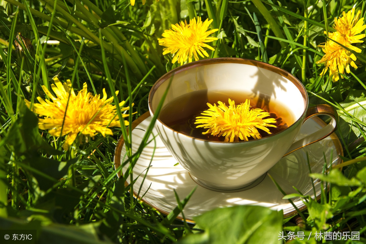 品茶的意境精美诗句,品茶的简短精美古诗短词