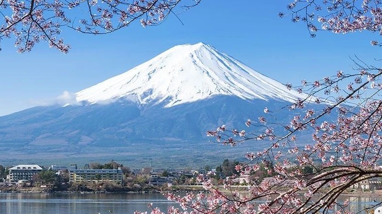 去日本自由行购物必买清单,日本旅游攻略必买清单及价格