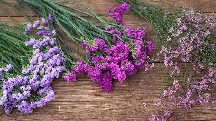 勿忘我花束制作方法超简单,自制勿忘我花束包装教程