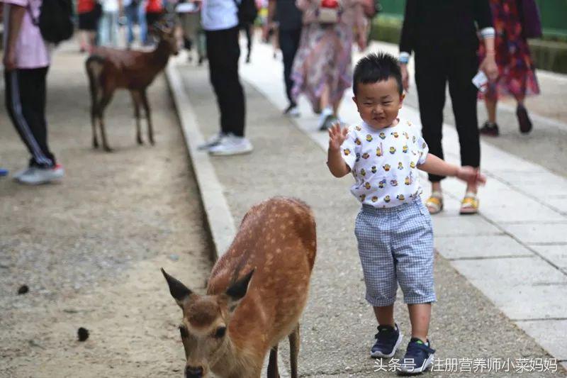 第一次带娃出国就选这！攻略都准备好啦