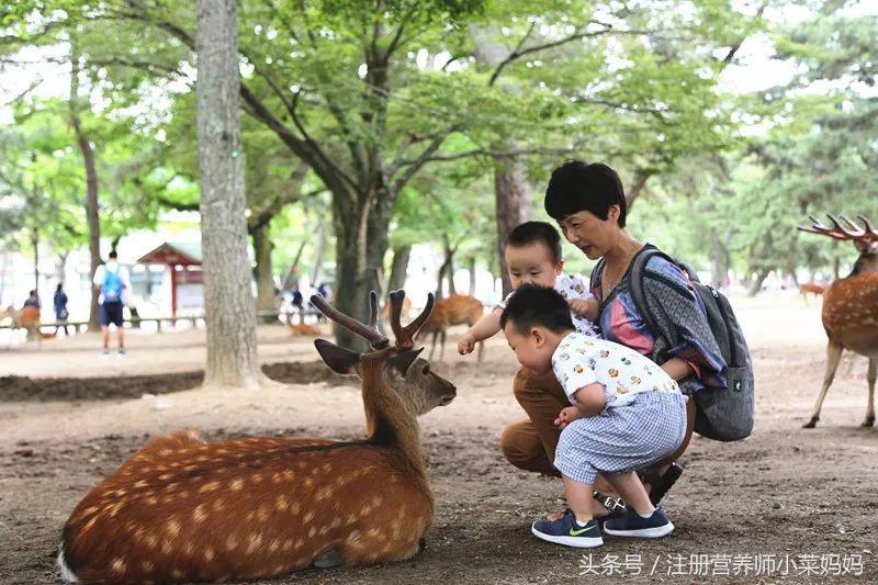 第一次带娃出国就选这！攻略都准备好啦