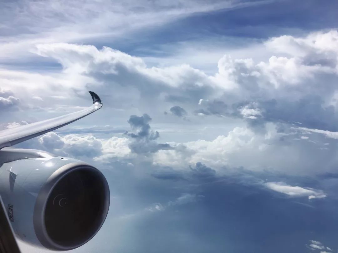 国泰航空最新体验,国泰航空后续乘机感受