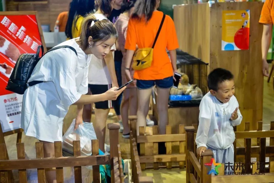 澶嶅崕鏈潵骞垮満,闈掑矝澶嶅崕鏈潵骞垮満