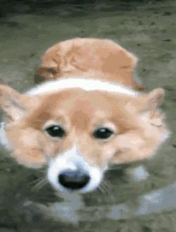 为什么游完泳嘴巴会变紫,游完泳晒得很黑怎么白回来